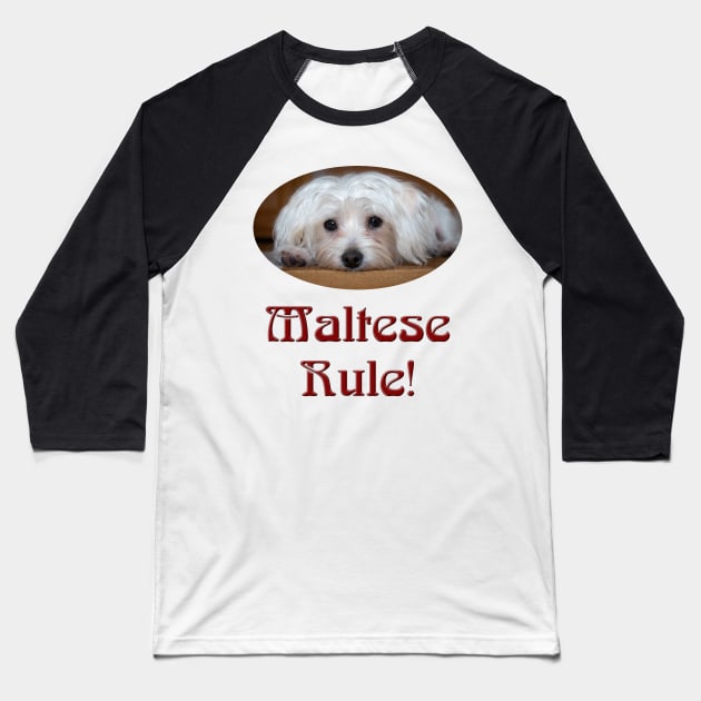 Maltese Rule! Baseball T-Shirt by Naves